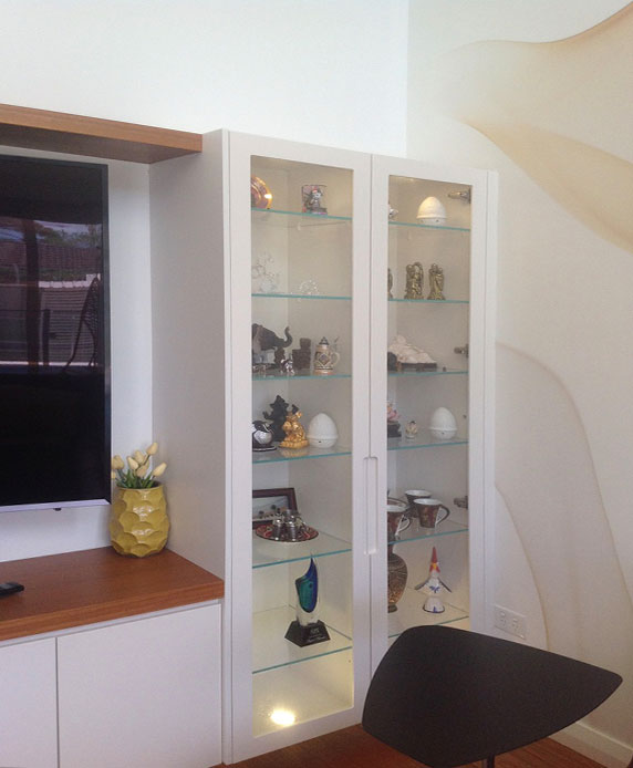 Customized Shelves & Cabinets